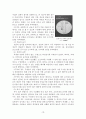 [A+] 전통가로로서의 종로와 지역재개발을 통한 역사 보존적 개발 방안 10페이지