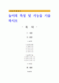 놀이의 특성 및 기능을 기술 1페이지