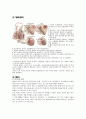 COPD 문헌고찰COPD(chronic obstructive pulmonary disease) 문헌고찰 2페이지
