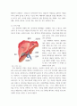 [ 인체생리학 ) 간담도 ] 5페이지