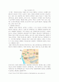 생물과학 ) 내막계에 관여하는 세포소기관과 물질대사 메커니즘에 대해 설명하라 6페이지