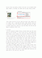 영유아교육 ) 포트폴리오에 대해 정리하고 본인이 현장에서 적용하고 싶은 포트폴리오에 대해 논하시오 5페이지
