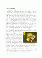 농업경영학 ) (1) 국내 농업이 스마트농업으로 전환되어야 하는 필요성을 열거하라 4페이지