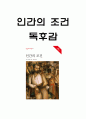 인간의 조건 핵심내용 요약과 내가 생각한 인간의 조건과 인간의 조건 읽고 느낀점 - 인간의 조건 독후감,서평 1페이지