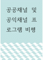 비평 ) 공공채널 및 공익채널 프로그램 1페이지