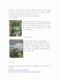 푸드마케팅 =) 식품소비트렌드 중에서 웰빙소비, 편의중심소비, 가치소비의 개념을 설명하고 자신의 식품소비 특성을 설명하시오 6페이지
