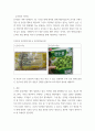 푸드마케팅 =) 신선편이농산물과 신선편의식품의 개념 및 유사점과 차이점을 비교하고, 유통되고 있는 제품을 각각 1종씩 선택하여 제품 표시 사항을 모두 설명하시오 6페이지