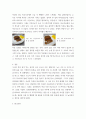 조리과학 =) 1 가루나 전분이 묵이 되는 이론적 배경을 설명하시오 5페이지