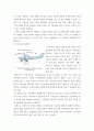 항공학 ) 항공기 무게의 구분과 무게중심 계산법에 대하여 조사하시오 4페이지
