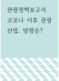 관광정책보고서 ) 코로나 이후 관광산업, 방향은 1페이지