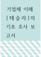 기업체 이해 ) 테슬라의 기초 조사 보고서 1페이지