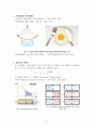 엔트로피 법칙 2페이지