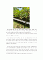 숲체험 ) 문수산(숲) 체험기(울산) 8페이지