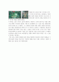 전시 소감문 작성 ) 미술관 1,2년 이하로 된 전시회 감상문 3페이지