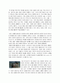 콘텐츠와홍보마케팅 ) 2,4,5주차 각 주제별로 이론적 내용과 사례 등을 서술 4페이지