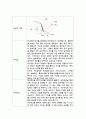 모발과학 ) 모근부를 구성하고 있는 조직과 세포에 대하여 각각의 기능을 세부적으로 작성하고 직접 팬을 이용하여 그림으로 그리기 후 첨부파일로 제출하시오 2페이지