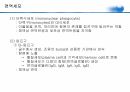 [성인간호학]면역 및 과민반응 요약정리 PPT 9페이지