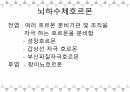 A+받은 [성인간호학]내분비계 정리 PPT 3페이지