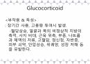 A+받은 [성인간호학]내분비계 정리 PPT 39페이지
