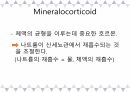 A+받은 [성인간호학]내분비계 정리 PPT 43페이지