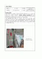간호과정, 간호진단 6개, A+받은 Case study, 경막하출혈, 뇌출혈, SDH, 성인간호실습케이스 [급성통증 외 5개] 3페이지