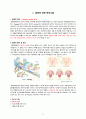 간호과정, 간호진단, A+받은 Case study, 제왕절개, C-sec, 고퀄리티 자료, 여성간호실습케이스 [급성통증, 감염의 위험성] 3페이지