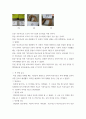 조리과학 ) 곡물가루를 이용하여 만드는 묵의 형성 원리를 설명하시오 6페이지