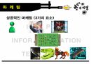 게릴라마케팅,전쟁과마케팅,마케팅 5페이지
