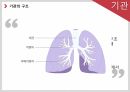 해부학 3페이지