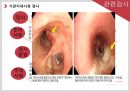 해부학 13페이지