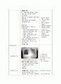 A+받은 Case study, 폐렴, Pneumonia, 성인간호실습케이스 간호과정, 간호진단 2개(기도개방유지불능, 피부손상위험성) 4페이지