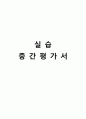 사회복지현장실습 보고서 (종합본) 남성 45페이지