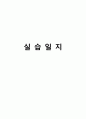 사회복지현장실습 보고서 (종합본) 남성 48페이지
