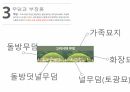 고려인의장례문화,고려인의내세관,의복과장례절차,무덤과부장품,계층별장례문화 11페이지