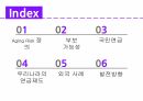 고령화 리스크,우리나라의 연금제도,국민연금,외국의 연금제도 사례 2페이지