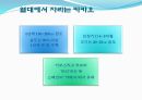 공정무역,카카오 품종,카카오 수확 과정 3페이지