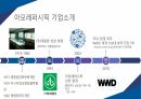 아모레퍼시픽과 롤리타렘피카의 마케팅전략 6페이지