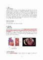 A+,성인간호,성인간호학,성인간호케이스,성인간호학케이스,성인간호케이스스터디,성인케이스,심근경색,심근경색케이스 3페이지