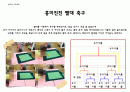 축구프로젝트 15페이지