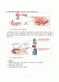 모성간호학 케이스 8페이지