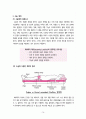 성인간호학(수술실) 케이스 스터디 16페이지
