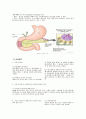 췌장염(Pancreatitis) 문헌고찰 9페이지
