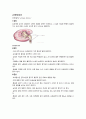 비뇨기계 case 4페이지