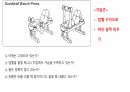 생체실기(보디빌딩) 4페이지