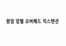 생체실기(보디빌딩) 13페이지