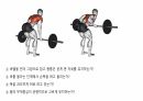 생체실기(보디빌딩) 58페이지