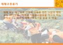 교직 인사 및 복무 (발표자료) 40페이지