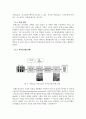 미세조류를 이용한 바이오디젤 생산_레포트월드 9페이지
