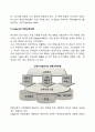 [전환교육 프로그램] 전환교육모델 3페이지