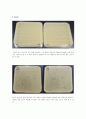 결과 plaque assay 2페이지
